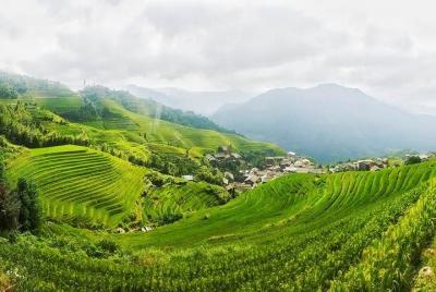 Guilin Yangshuo & Longji Rice Terrace 4 days tour