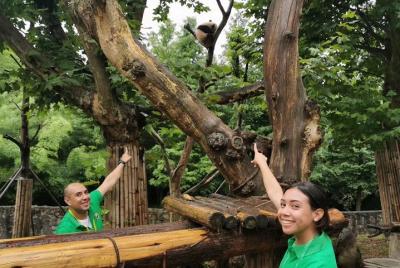 Private Chengdu Panda Volunteer and Irrigation System Tour from G Private Chengdu Panda Volunteer and Irrigation System Tour from G