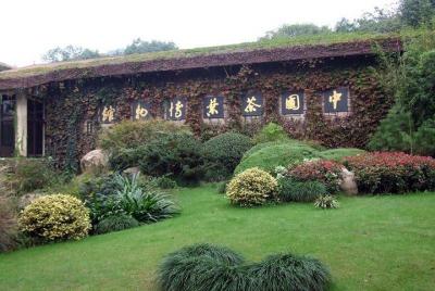 Hangzhou Day Trip Dragon Well Tea Plantation and Culture Tour Hangzhou Day Trip Dragon Well Tea Plantation and Culture Tour