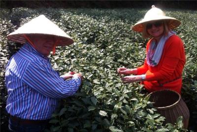 Private Tour: Hangzhou Tea Culture Day Tour Private Tour: Hangzhou Tea Culture Day Tour