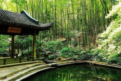 Yunxi Bamboo Forest and West Lake Private Day Tour with Tea Plant Yunxi Bamboo Forest and West Lake Private Day Tour with Tea Plant