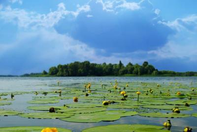 Classic Hangzhou Two-Day Tour with A Depth-Explore to Xixi Wetlan Classic Hangzhou Two-Day Tour with A Depth-Explore to Xixi Wetlan