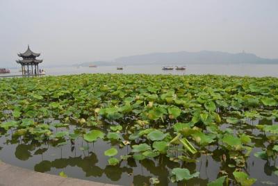 Amazing Landmarks Hangzhou Day Tour