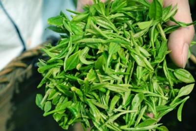 Hangzhou City Walk - Half Day Tea Culture - Small Group Tour Hangzhou City Walk - Half Day Tea Culture - Small Group Tour