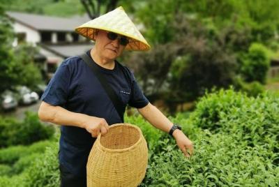 Hangzhou Longjing Tea Plantation Culture Experience Tour Hangzhou Longjing Tea Plantation Culture Experience Tour