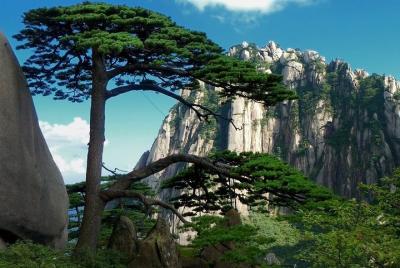 All Inclusive Huangshan Mountain and Hongcun Village Private Efficient Day Tour  All Inclusive Huangshan Mountain and Hongcun Village Private Efficient Day Tour