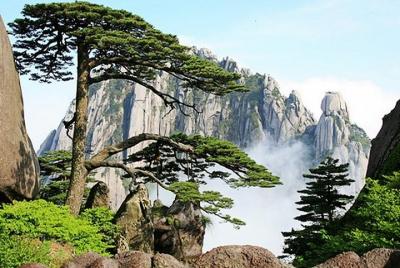 All Inclusive Huangshan Mountain and Xidi Village Private Efficient Day Tour   All Inclusive Huangshan Mountain and Xidi Village Private Efficient Day Tour