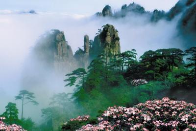Private day tour to Mountain Huangshan with buffet Lunch and start from Tunxi  Private day tour to Mountain Huangshan with buffet Lunch and start from Tunxi