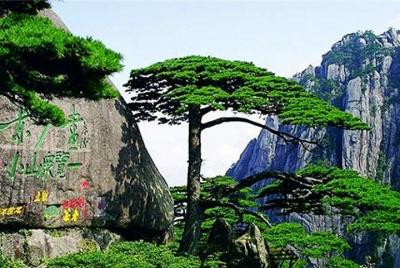 All Inclusive Huangshan Yellow Mountain and Tunxi Old Street Private Day Tour All Inclusive Huangshan Yellow Mountain and Tunxi Old Street Private Day Tour