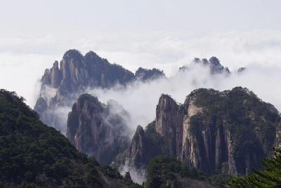 1 Day Huangshan Private Tour 1 Day Huangshan Private Tour