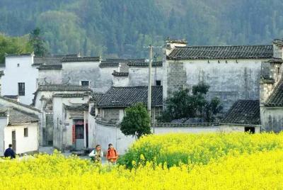 3-Day Private Huangshan Tour: Hongcun Village & Overnight on Mt Huangshan 3-Day Private Huangshan Tour: Hongcun Village & Overnight on Mt Huangshan