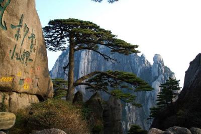 3 Days Huangshan (Mount Huang) Stunning Nature Tour(5-star hotel) 3 Days Huangshan (Mount Huang) Stunning Nature Tour(5-star hotel)