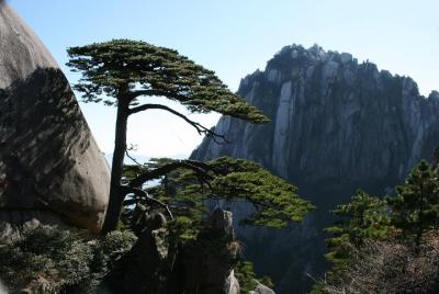 Private 2 days tour to visit Huangshan Mountain and Hongcun village  Private 2 days tour to visit Huangshan Mountain and Hongcun village