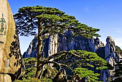 3-Day Huangshan Private Tour: Yellow Mountain, Chengkan Village and Tunxi Street 3-Day Huangshan Private Tour: Yellow Mountain, Chengkan Village and Tunxi Street