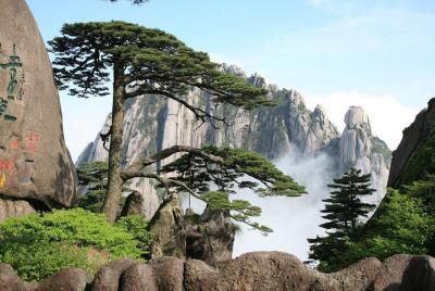 Private 3-Day Huangshan Tour Including Transfer Service Private 3-Day Huangshan Tour Including Transfer Service