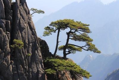 The Best of Huangshan Walking Tour The Best of Huangshan Walking Tour