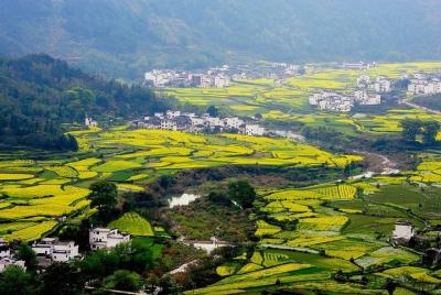 Wuyuan Scenic Area Private Transfer from Huangshan City Wuyuan Scenic Area Private Transfer from Huangshan City