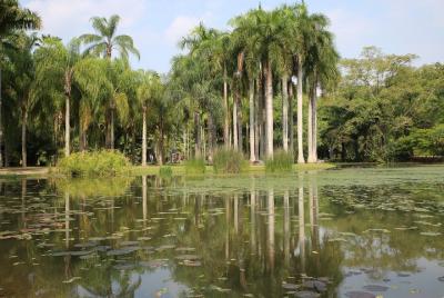 2 days Tour in Xishuangbanna 2 days Tour in Xishuangbanna