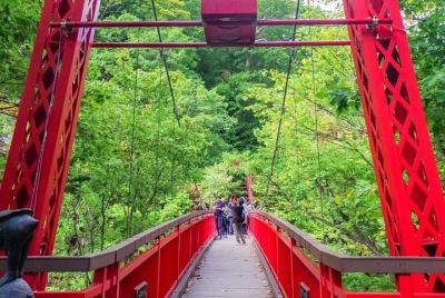 Private Tour - Jozankei: Hokkaido's nature and hot springs