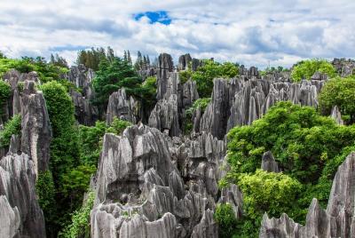 6 Days Yunnan Province:Kunming,Dali,Lijiang Nature & Culture Tour