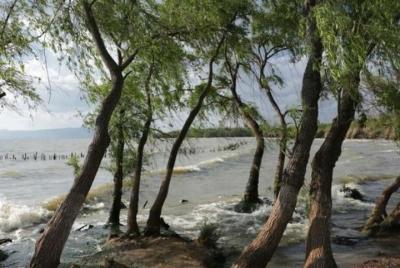 One day tour to eastern coast region of Daichi Lake One day tour to eastern coast region of Daichi Lake