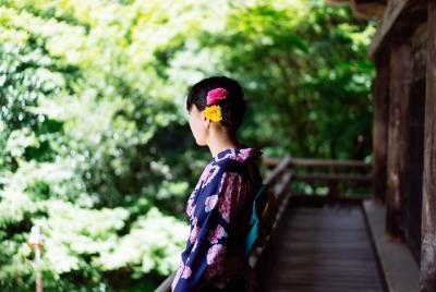 Stroll around the Himeji Castle and the Japanese Garden in your f