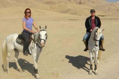 horse riding in hurghada  horse riding in hurghada