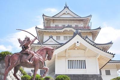 Private Tour - Shrines, Castles and other Historical Landmarks in