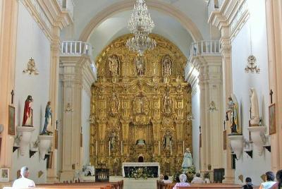 El Rosario Half-Day Tour with Optional Visit to Caimanero Lagoon El Rosario Half-Day Tour with Optional Visit to Caimanero Lagoon