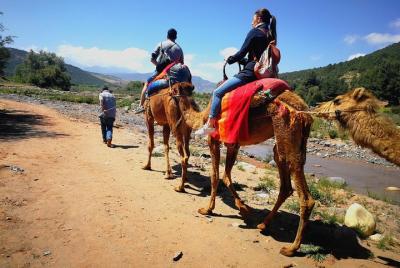 Atlas Mountains and Three Valleys & Waterfalls - Camel ride Day Trip Marrakech