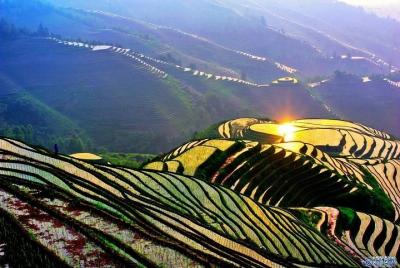 Private French-speaking guide: Rice terraces Longji, village of the local minority Private French-speaking guide: Rice terraces Longji, village of the local minority