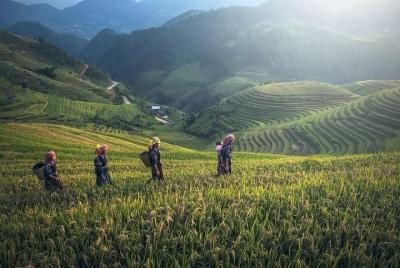 Full-Day Private Tour of Longji Rice Terraces from Guilin Full-Day Private Tour of Longji Rice Terraces from Guilin
