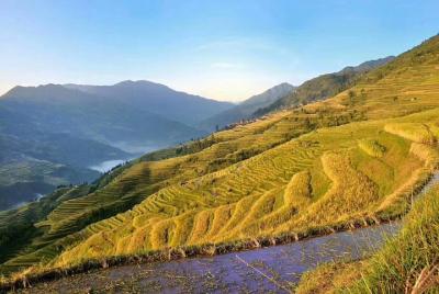 Private Day Tour to Longji Rice Terraces from Guilin Private Day Tour to Longji Rice Terraces from Guilin