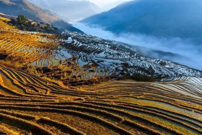 Private Rice Terrace and Minority Village Hiking from Longji to Pingan Private Rice Terrace and Minority Village Hiking from Longji to Pingan