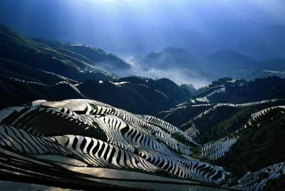 Longji Rice Terrace and Minority Village Hiking Tour from Pingan to Dazhai Longji Rice Terrace and Minority Village Hiking Tour from Pingan to Dazhai