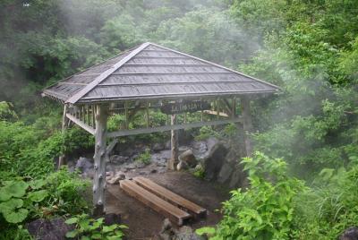 Full-Day Private Guided Japanese Hot Spring Experience