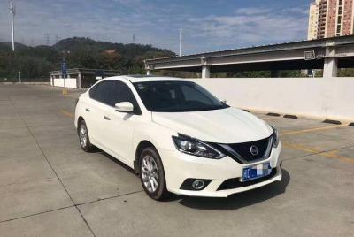 Private car/van service to Shaolin temple from Luoyang 