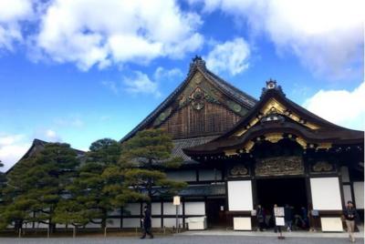 Nijo-jo Castle Tour with Nationally-Licensed Guide