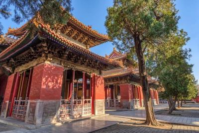 Qufu Private Walking Tour to Confucius Temple, Kong Mansion and F Qufu Private Walking Tour to Confucius Temple, Kong Mansion and F