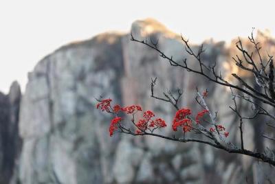 2-Day Private Sightseeing Tour of Qufu City Highlights and Mount  2-Day Private Sightseeing Tour of Qufu City Highlights and Mount
