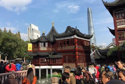 Flexible Hours of Private Shanghai Layover or Transfer Tour Flexible Hours of Private Shanghai Layover or Transfer Tour