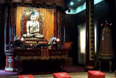 Private Customized Tour: Shanghai in One Day Private Customized Tour: Shanghai in One Day