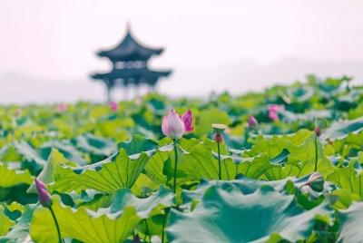 All-Inclusive Classic Private Hangzhou Day Trip from Shanghai by  All-Inclusive Classic Private Hangzhou Day Trip from Shanghai by