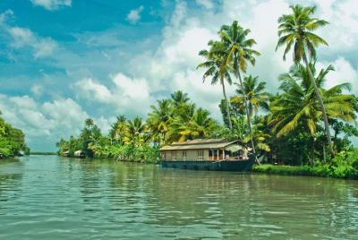 Cochin City or Backwater Shore Excursions from Cruise Terminal Cochin City or Backwater Shore Excursions from Cruise Terminal