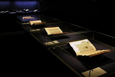 2 Hour Private Guided Walking Tour: Gutenberg and Old Mainz