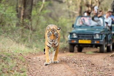 10 Days Rajasthan Tour 10 Days Rajasthan Tour