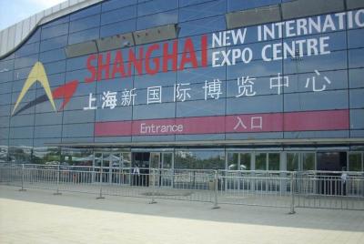 Private Transfer: Shanghai New International Expo Centre and City Private Transfer: Shanghai New International Expo Centre and City