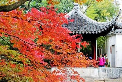 4-Hour Suzhou Private Flexible Tour with Garden and Boat Ride Opt 4-Hour Suzhou Private Flexible Tour with Garden and Boat Ride Opt