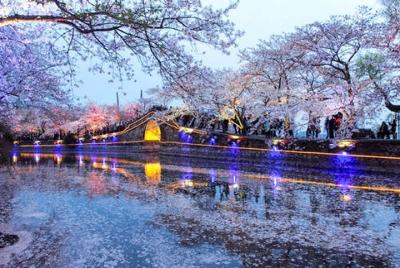 Wuxi Self-Guided Tour from Suzhou by Private Car  Wuxi Self-Guided Tour from Suzhou by Private Car