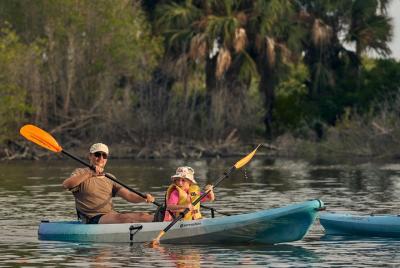 Mangrove Kayaking Tour Mangrove Kayaking Tour